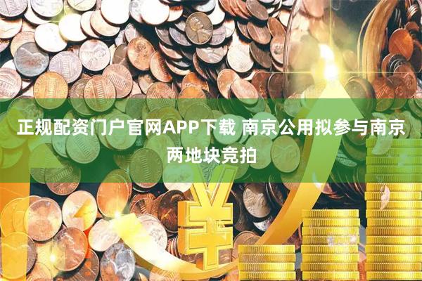正规配资门户官网APP下载 南京公用拟参与南京两地块竞拍