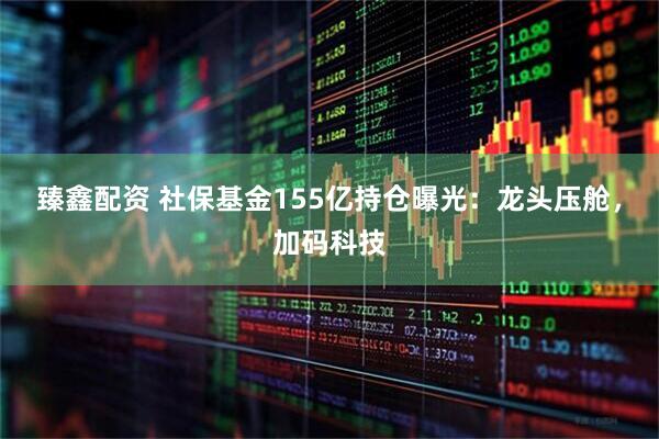 臻鑫配资 社保基金155亿持仓曝光：龙头压舱，加码科技