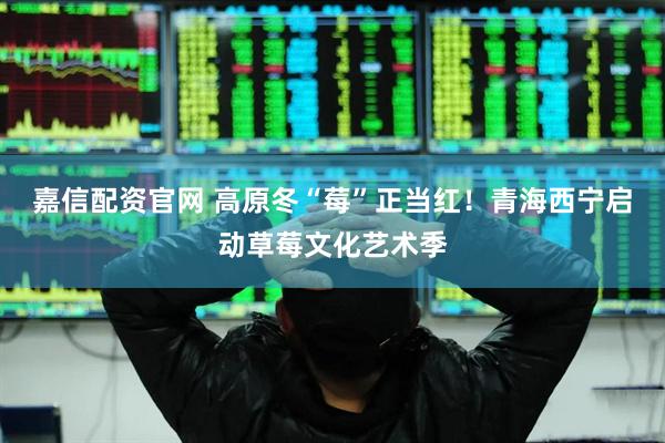 嘉信配资官网 高原冬“莓”正当红！青海西宁启动草莓文化艺术季